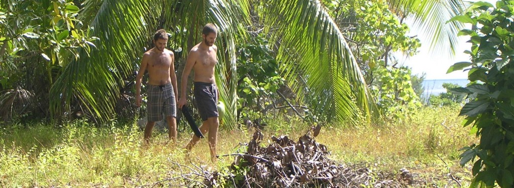Coconut Hunters
