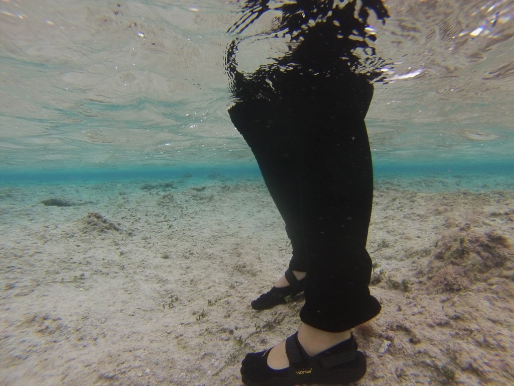 DCIM100GOPRO