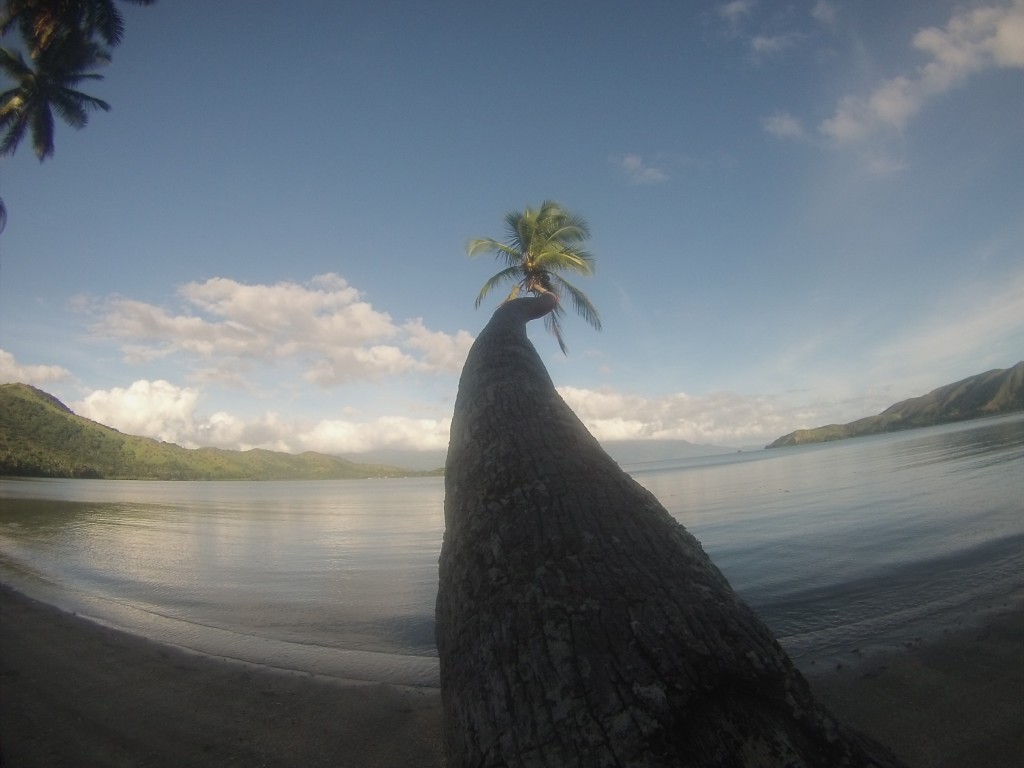 DCIM100GOPRO